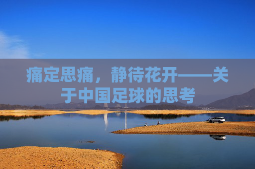痛定思痛，静待花开——关于中国足球的思考
