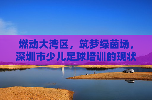 燃动大湾区,筑梦绿茵场,深圳市少儿足球培训的现状与选择指南
