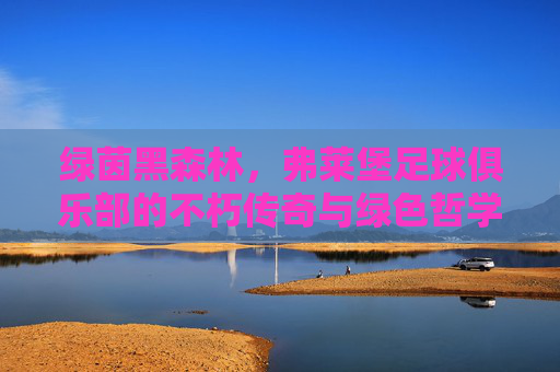 绿茵黑森林，弗莱堡足球俱乐部的不朽传奇与绿色哲学