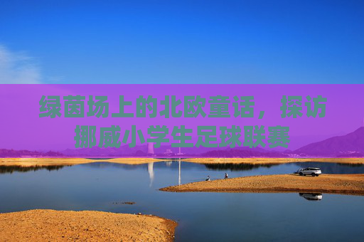 绿茵场上的北欧童话，探访挪威小学生足球联赛