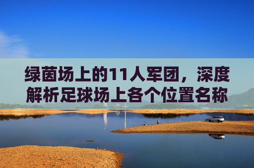 绿茵场上的11人军团,深度解析足球场上各个位置名称