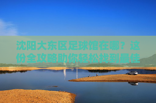 沈阳大东区足球馆在哪?这份全攻略助你轻松找到最佳踢球地