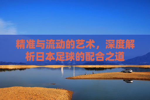 精准与流动的艺术,深度解析日本足球的配合之道