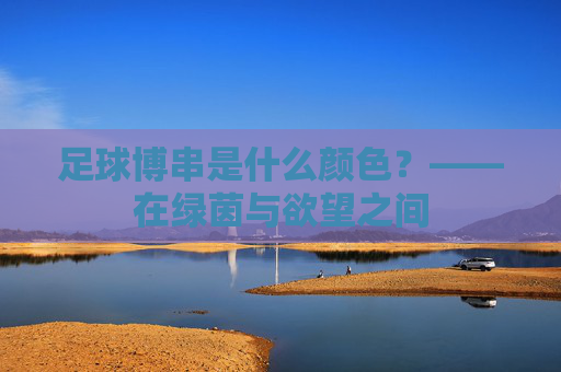 足球博串是什么颜色？——在绿茵与欲望之间
