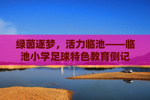 绿茵逐梦,活力临池——临池小学足球特色教育侧记