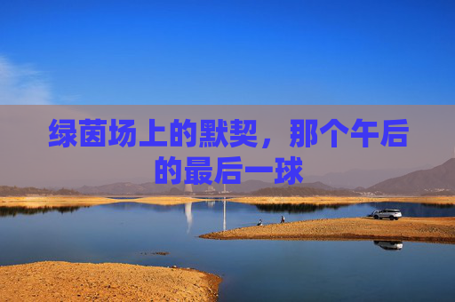 绿茵场上的默契,那个午后的最后一球
