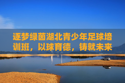 逐梦绿茵湖北青少年足球培训班,以球育德,铸就未来之星