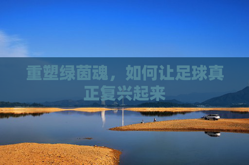 重塑绿茵魂，如何让足球真正复兴起来