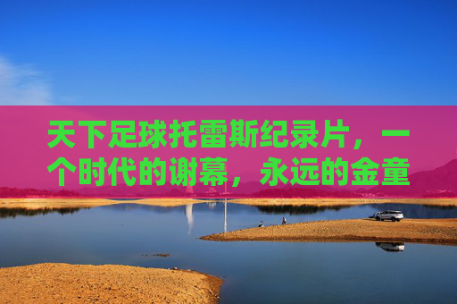 天下足球托雷斯纪录片,一个时代的谢幕,永远的金童