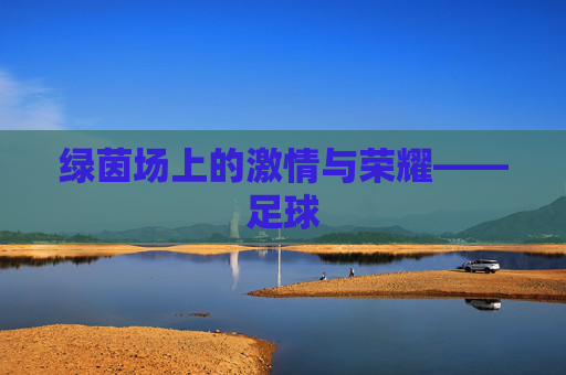 绿茵场上的激情与荣耀——足球