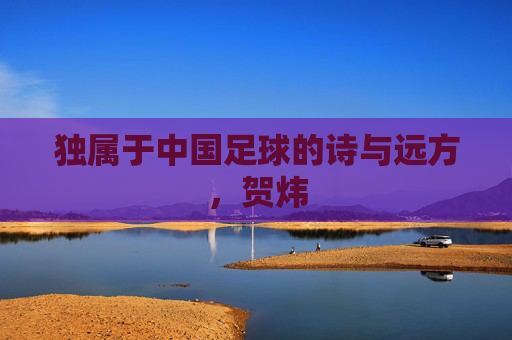 独属于中国足球的诗与远方,贺炜