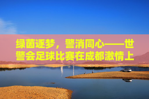 绿茵逐梦,警消同心——世警会足球比赛在成都激情上演