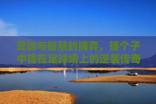 灵动与智慧的博弈,矮个子中锋在足球场上的逆袭传奇