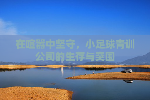在喧嚣中坚守,小足球青训公司的生存与突围