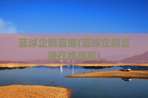 蓝球企鹅直播(蓝球企鹅直播在线观看)