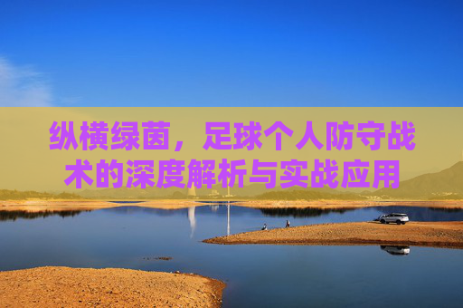 纵横绿茵,足球个人防守战术的深度解析与实战应用