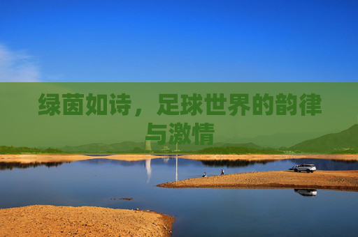 绿茵如诗，足球世界的韵律与激情