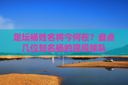 足坛杨姓名将今何在？盘点几位知名杨的现役球队