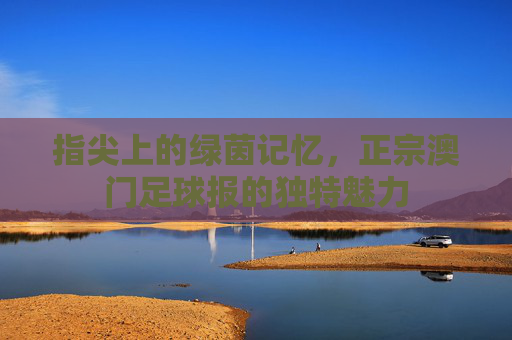 指尖上的绿茵记忆，正宗澳门足球报的独特魅力