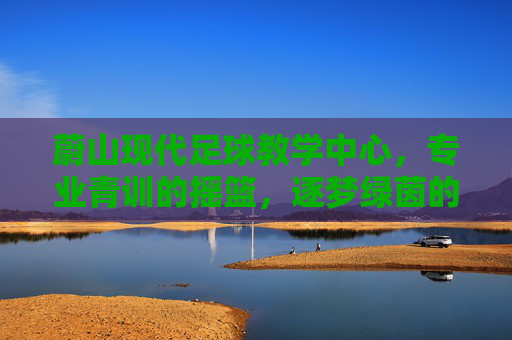 蔚山现代足球教学中心，专业青训的摇篮，逐梦绿茵的起点