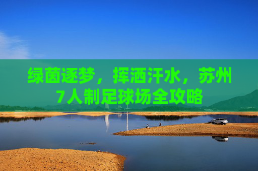 绿茵逐梦，挥洒汗水，苏州7人制足球场全攻略