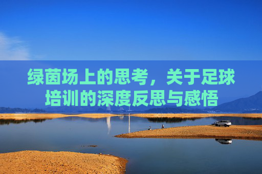 绿茵场上的思考,关于足球培训的深度反思与感悟