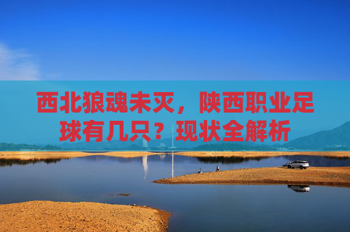 西北狼魂未灭，陕西职业足球有几只？现状全解析