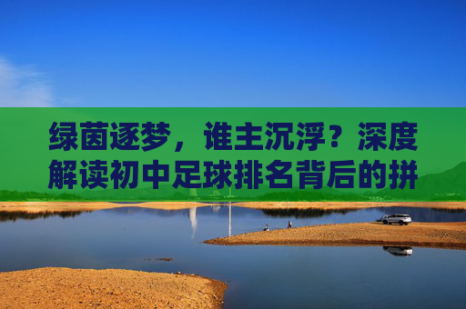 绿茵逐梦,谁主沉浮?深度解读初中足球排名背后的拼搏与成长
