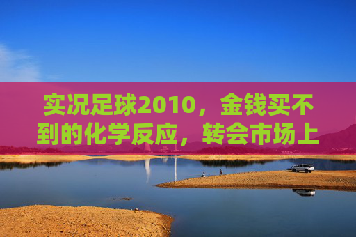 实况足球2010，金钱买不到的化学反应，转会市场上的性价比博弈