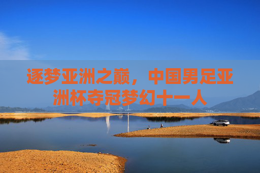 逐梦亚洲之巅,中国男足亚洲杯夺冠梦幻十一人