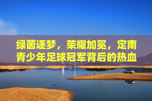 绿茵逐梦，荣耀加冕，定南青少年足球冠军背后的热血与汗水