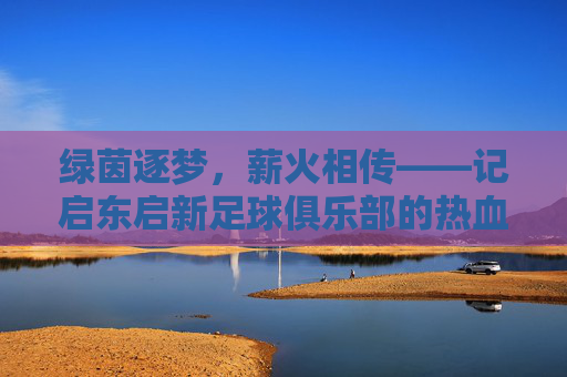 绿茵逐梦,薪火相传——记启东启新足球俱乐部的热血征程