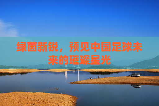 绿茵新锐，预见中国足球未来的璀璨星光