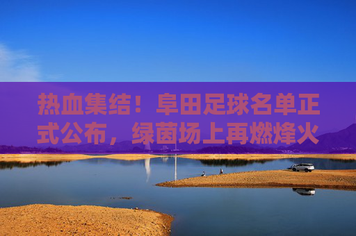 热血集结!阜田足球名单正式公布,绿茵场上再燃烽火
