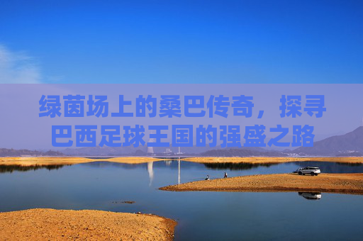 绿茵场上的桑巴传奇,探寻巴西足球王国的强盛之路