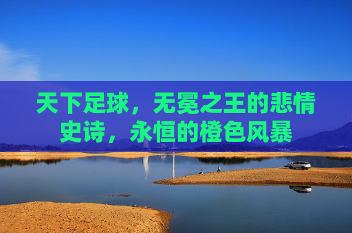天下足球,无冕之王的悲情史诗,永恒的橙色风暴