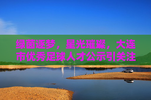 绿茵逐梦，星光璀璨，大连市优秀足球人才公示引关注