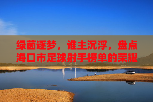 绿茵逐梦，谁主沉浮，盘点海口市足球射手榜单的荣耀与梦想