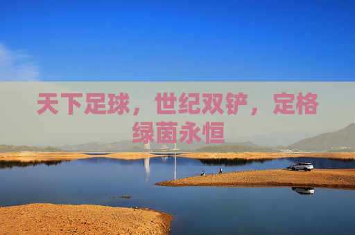 天下足球,世纪双铲,定格绿茵永恒