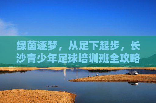 绿茵逐梦,从足下起步,长沙青少年足球培训班全攻略
