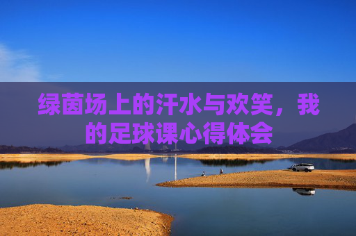绿茵场上的汗水与欢笑,我的足球课心得体会