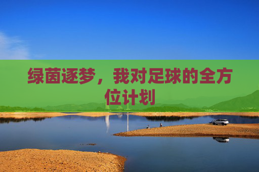 绿茵逐梦,我对足球的全方位计划