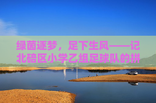 绿茵逐梦，足下生风——记北碚区小学乙组足球队的拼搏与成长