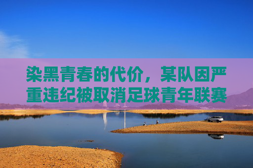 染黑青春的代价，某队因严重违纪被取消足球青年联赛资格，引发行业反思