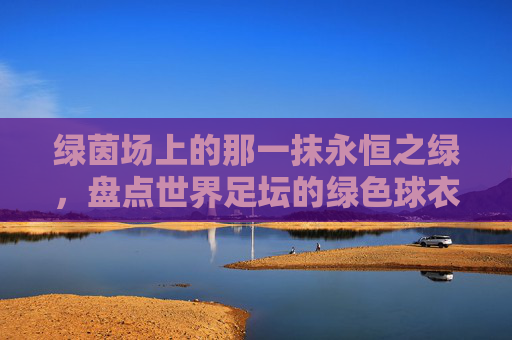 绿茵场上的那一抹永恒之绿，盘点世界足坛的绿色球衣球队