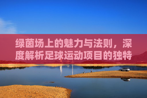 绿茵场上的魅力与法则,深度解析足球运动项目的独特特点