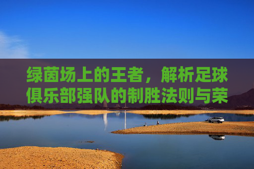 绿茵场上的王者,解析足球俱乐部强队的制胜法则与荣耀之路