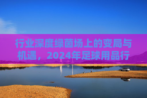行业深度绿茵场上的变局与机遇,2024年足球用品行业现状深度剖析