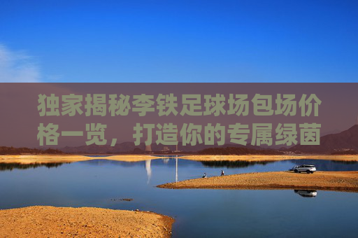 独家揭秘李铁足球场包场价格一览,打造你的专属绿茵盛宴