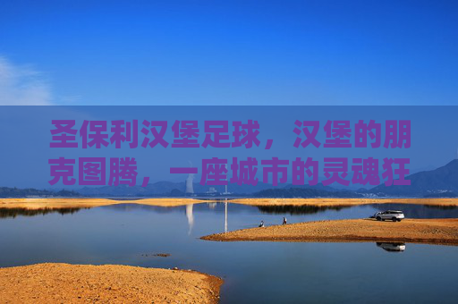 圣保利汉堡足球,汉堡的朋克图腾,一座城市的灵魂狂欢